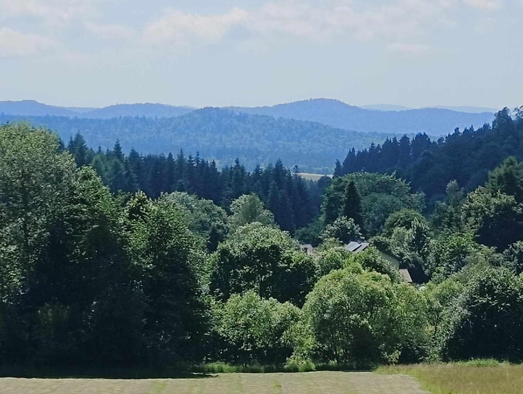 Bieszczadzka Dolina U Magdy Villa Zlobek  Exteriör bild